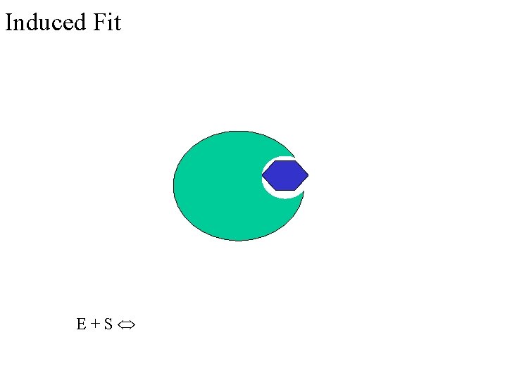 Induced Fit E+S 