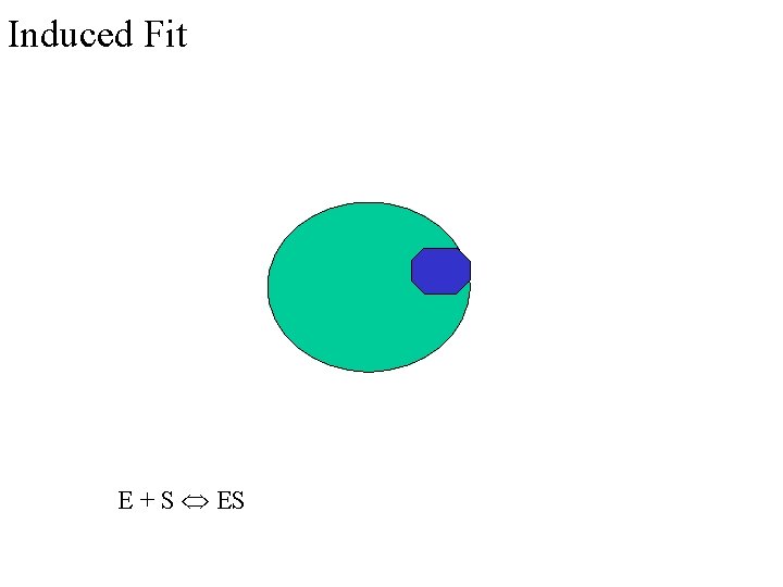 Induced Fit E + S ES 