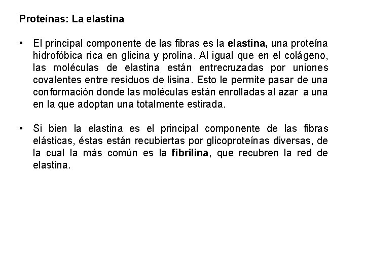 Proteínas: La elastina • El principal componente de las fibras es la elastina, una