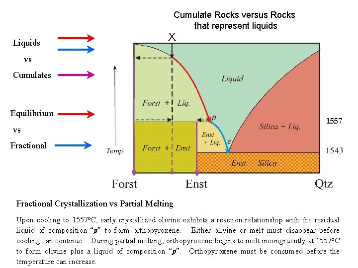 Cumulate Rocks versus Rocks that represent liquids Liquids vs Cumulates Equilibrium vs 1557 Fractional