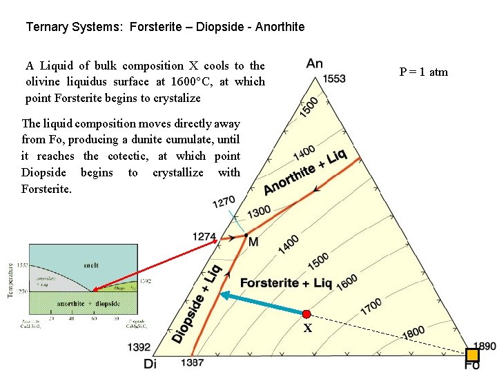 Ternary Systems: Forsterite – Diopside - Anorthite A Liquid of bulk composition X cools