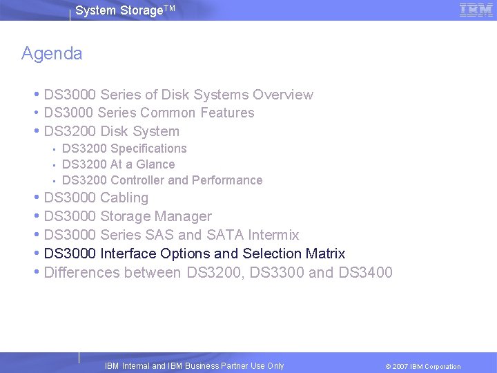 System Storage. TM Agenda • DS 3000 Series of Disk Systems Overview • DS