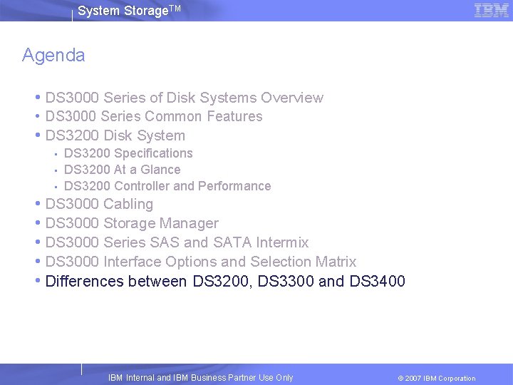 System Storage. TM Agenda • DS 3000 Series of Disk Systems Overview • DS