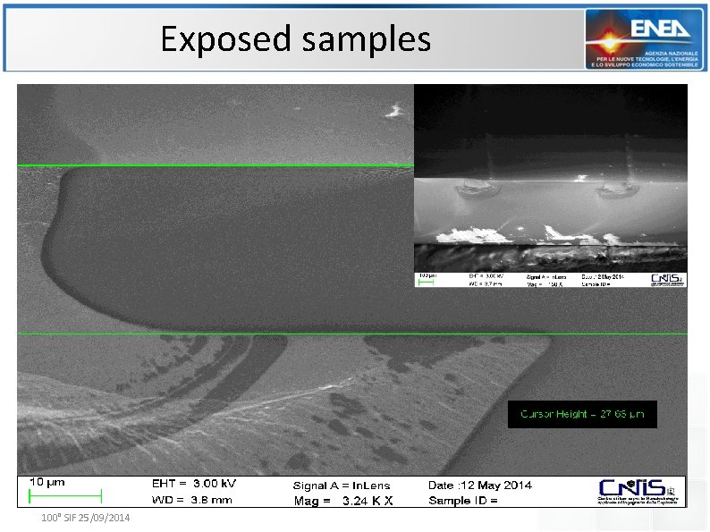 Exposed samples 100° SIF 25/09/2014 