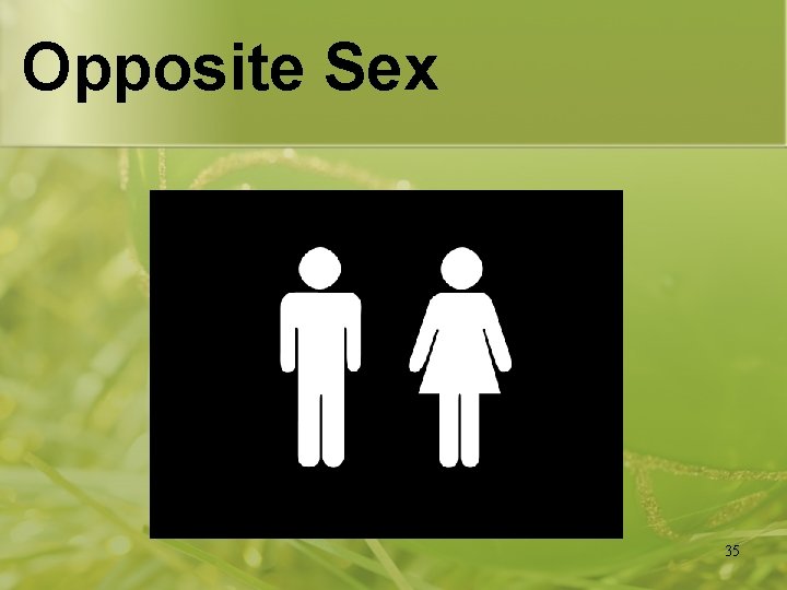 Opposite Sex 35 