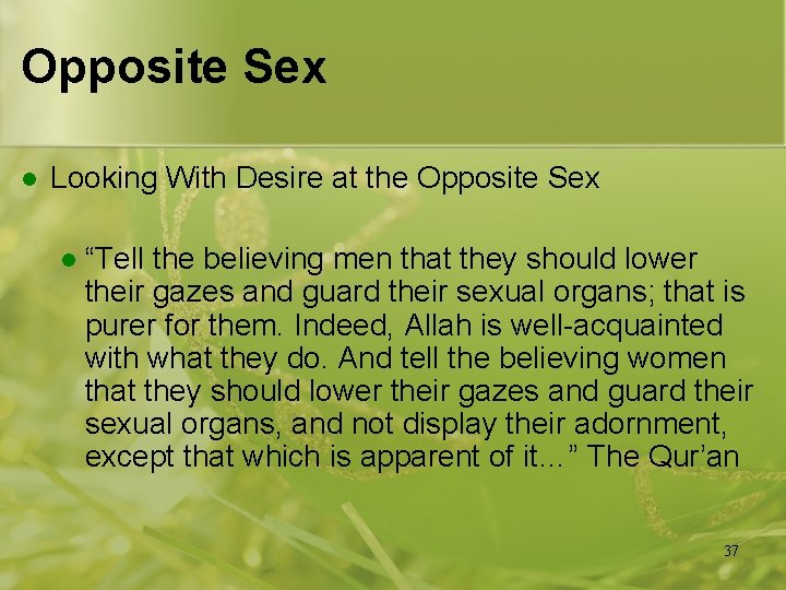 Opposite Sex l Looking With Desire at the Opposite Sex l “Tell the believing