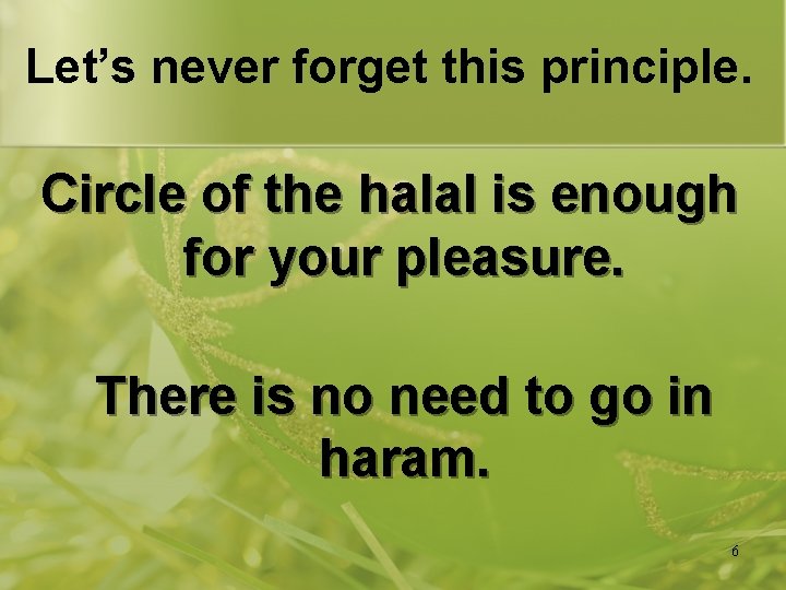 Let’s never forget this principle. Circle of the halal is enough for your pleasure.