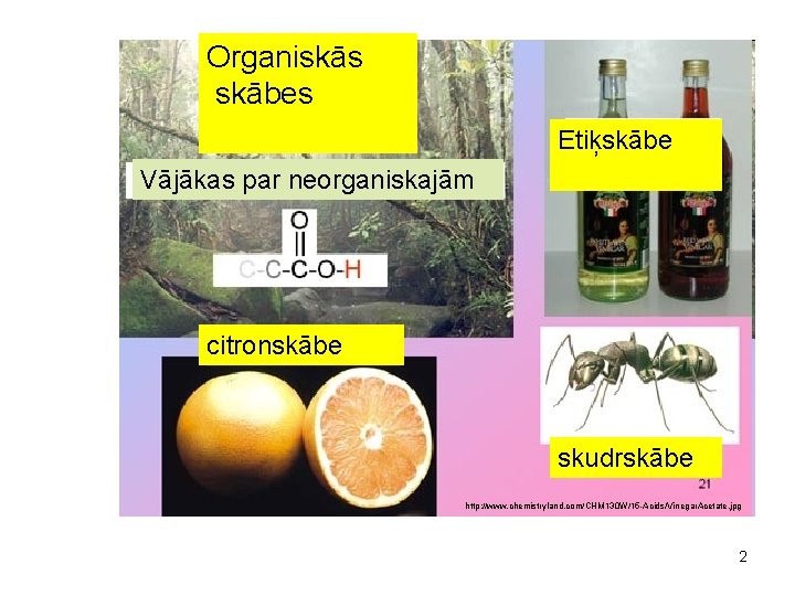 Organiskās skābes Etiķskābe Vājākas par neorganiskajām citronskābe skudrskābe http: //www. chemistryland. com/CHM 130 W/15