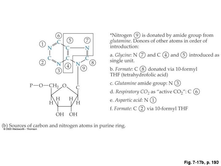 Fig. 7 -17 b, p. 193 