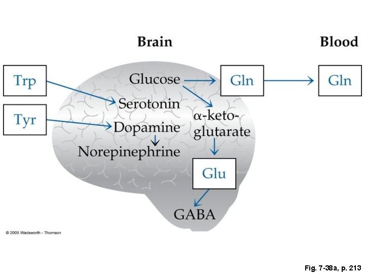 Fig. 7 -38 a, p. 213 