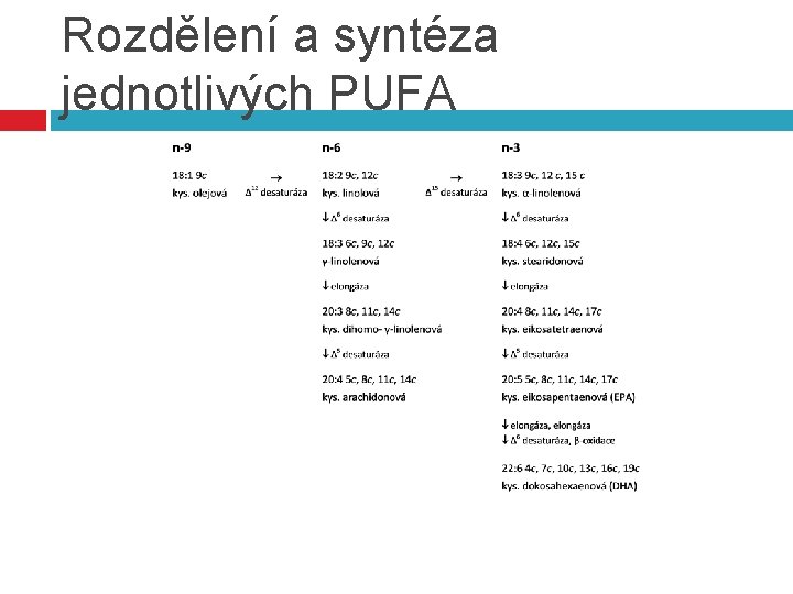 Rozdělení a syntéza jednotlivých PUFA 