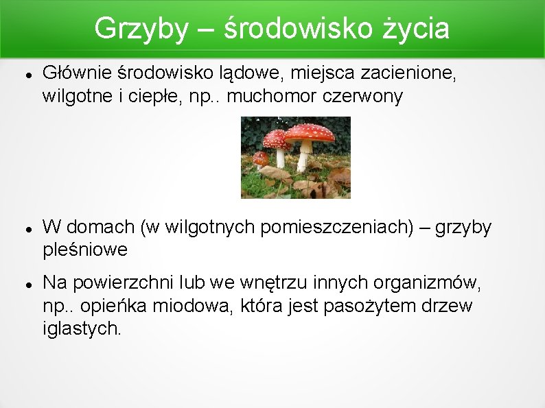 Grzyby – środowisko życia Głównie środowisko lądowe, miejsca zacienione, wilgotne i ciepłe, np. .