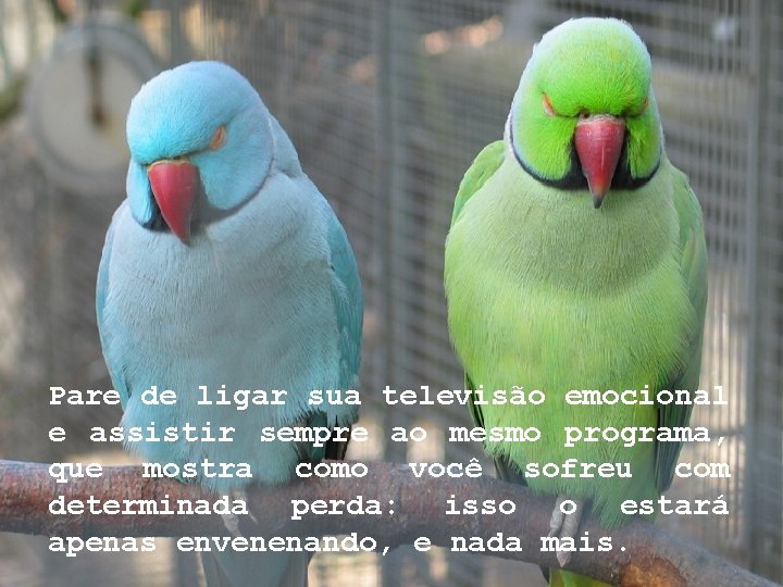 Pare de ligar sua televisão emocional e assistir sempre ao mesmo programa, que mostra