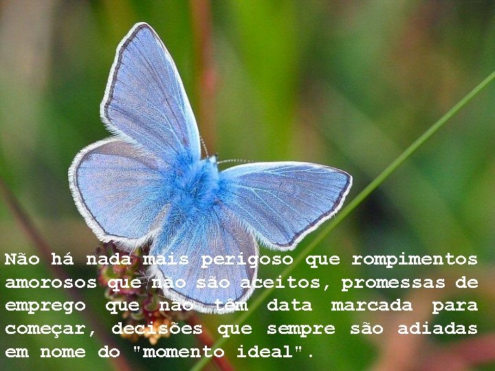Não há nada mais perigoso que rompimentos amorosos que não são aceitos, promessas de Não há nada mais perigoso que rompimentos amorosos que não são aceitos, promessas de