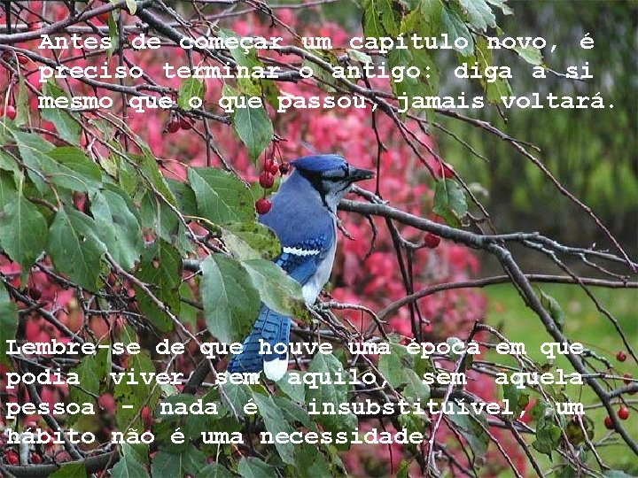 Antes de começar um capítulo novo, é preciso terminar o antigo: diga a si Antes de começar um capítulo novo, é preciso terminar o antigo: diga a si