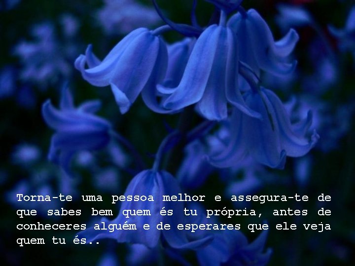 Torna-te uma pessoa melhor e assegura-te de que sabes bem quem és tu própria, Torna-te uma pessoa melhor e assegura-te de que sabes bem quem és tu própria,