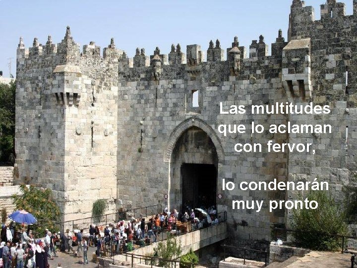 Las multitudes que lo aclaman con fervor, lo condenarán muy pronto Las multitudes que lo aclaman con fervor, lo condenarán muy pronto