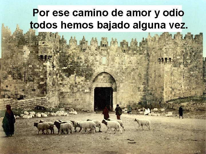 Por ese camino de amor y odio todos hemos bajado alguna vez. Por ese camino de amor y odio todos hemos bajado alguna vez.