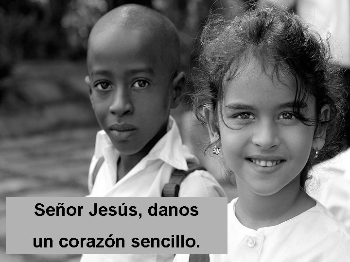 Señor Jesús, danos un corazón sencillo. 