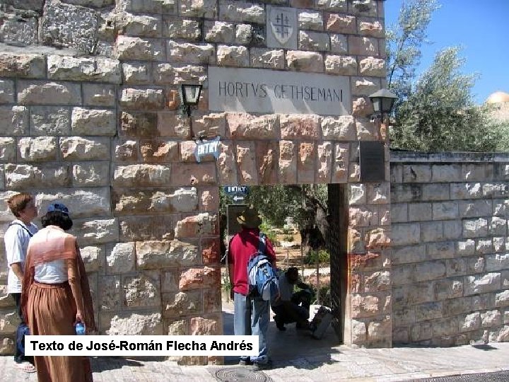 Texto de José-Román Flecha Andrés Texto de José-Román Flecha Andrés