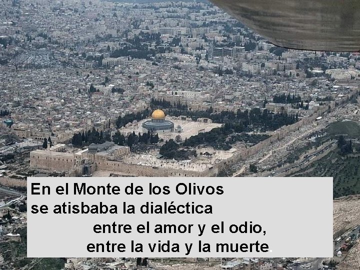 En el Monte de los Olivos se atisbaba la dialéctica entre el amor y