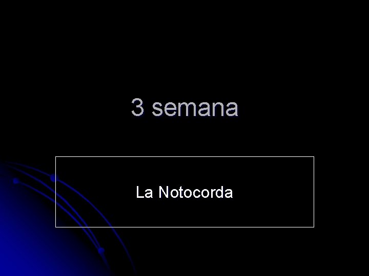 3 semana La Notocorda 