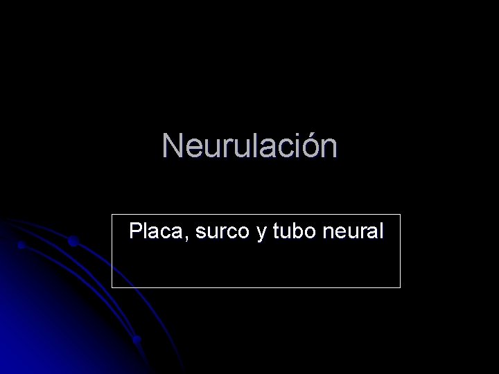 Neurulación Placa, surco y tubo neural 
