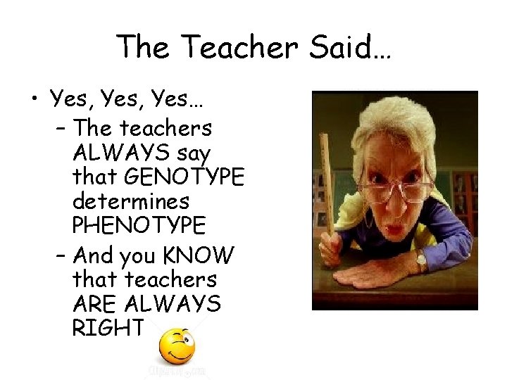 The Teacher Said… • Yes, Yes… – The teachers ALWAYS say that GENOTYPE determines