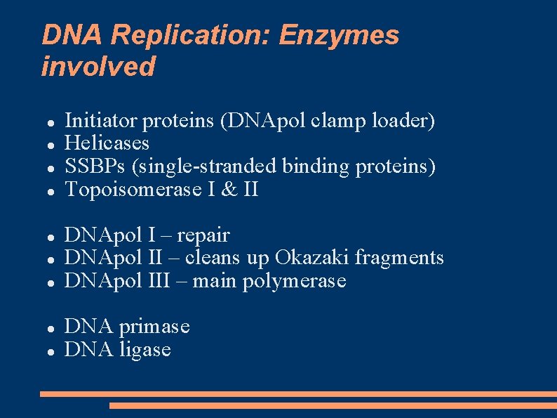 DNA Replication: Enzymes involved Initiator proteins (DNApol clamp loader) Helicases SSBPs (single-stranded binding proteins)