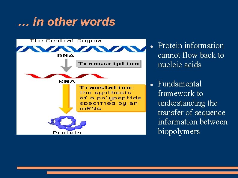 … in other words Protein information cannot flow back to nucleic acids Fundamental framework