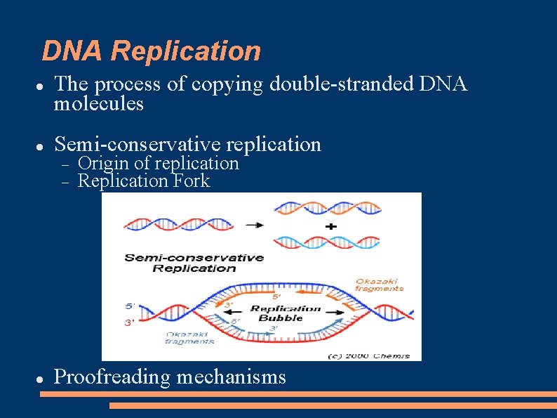 DNA Replication The process of copying double-stranded DNA molecules Semi-conservative replication Origin of replication