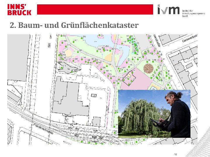 2. Baum- und Grünflächenkataster 15 