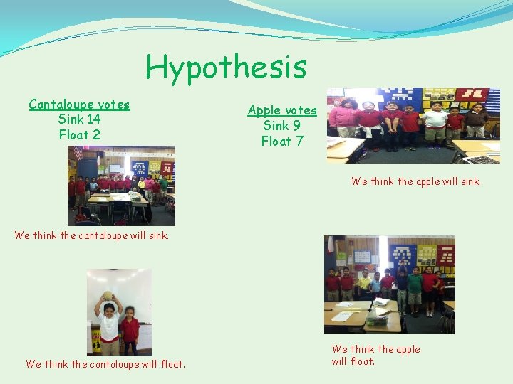 Hypothesis Cantaloupe votes Sink 14 Float 2 Apple votes Sink 9 Float 7 We