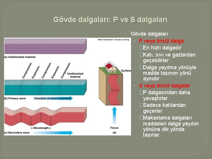 Gövde dalgaları: P ve S dalgaları � Gövde dalgaları • P veya öncül dalga