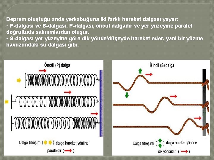 Deprem oluştuğu anda yerkabuğuna iki farklı hareket dalgası yayar: • P-dalgası ve S-dalgası. P-dalgası,