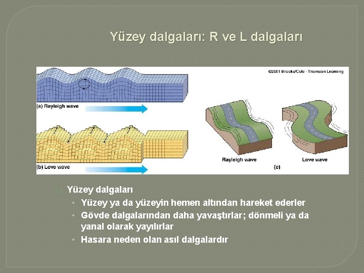 Yüzey dalgaları: R ve L dalgaları � Yüzey dalgaları • Yüzey ya da yüzeyin