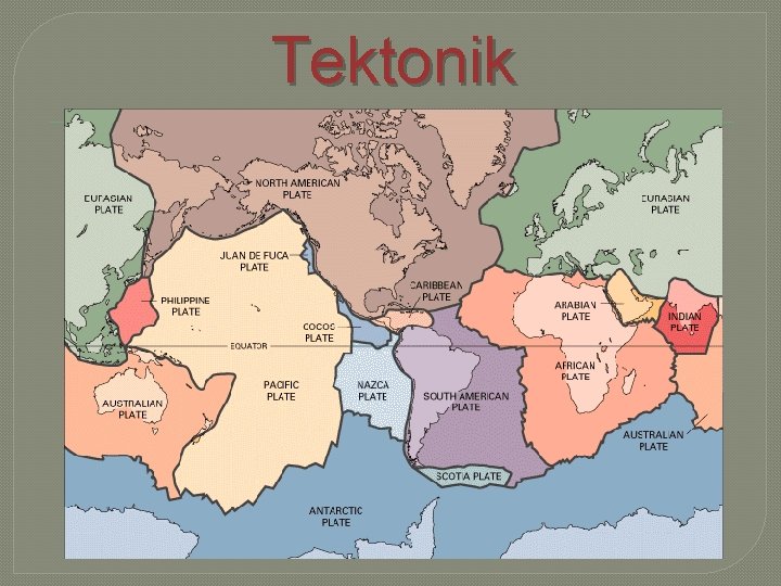 Tektonik 