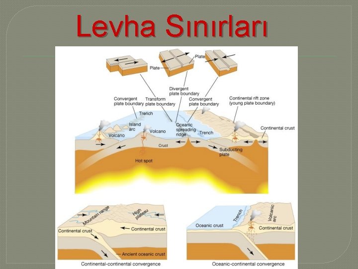 Levha Sınırları 