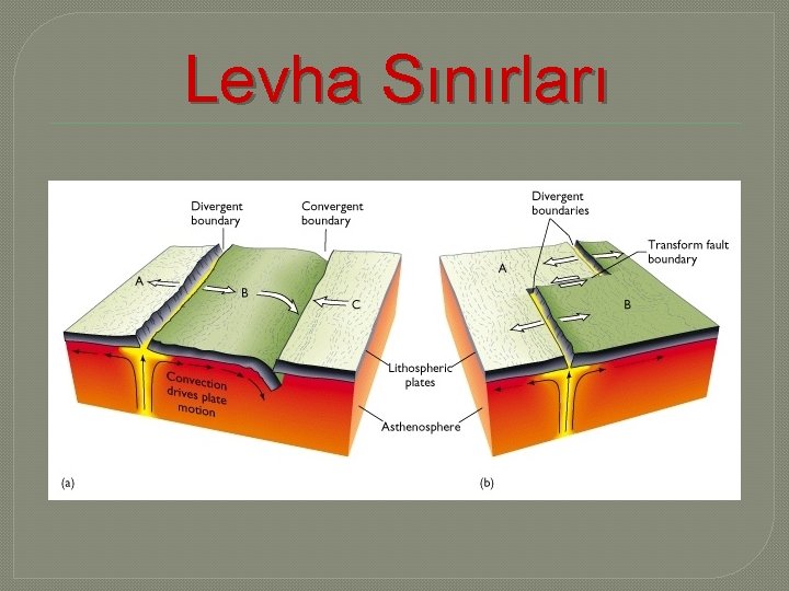 Levha Sınırları 