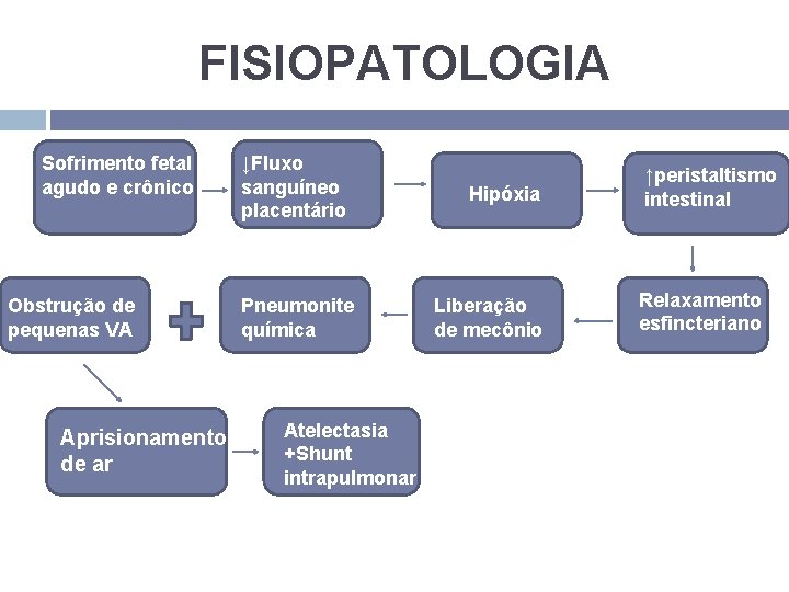 FISIOPATOLOGIA Sofrimento fetal agudo e crônico Obstrução de pequenas VA Aprisionamento de ar ↓Fluxo