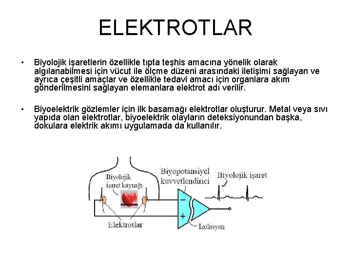 ELEKTROTLAR • Biyolojik işaretlerin özellikle tıpta teşhis amacına yönelik olarak algılanabilmesi için vücut ile