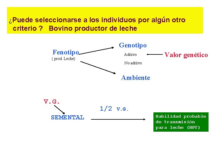 ¿Puede seleccionarse a los individuos por algún otro criterio ? Bovino productor de leche