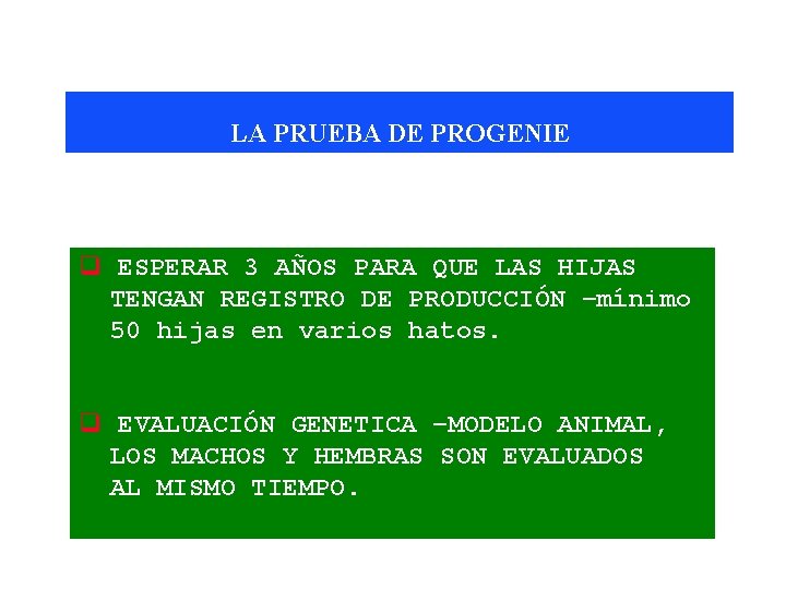 LA PRUEBA DE PROGENIE q ESPERAR 3 AÑOS PARA QUE LAS HIJAS TENGAN REGISTRO