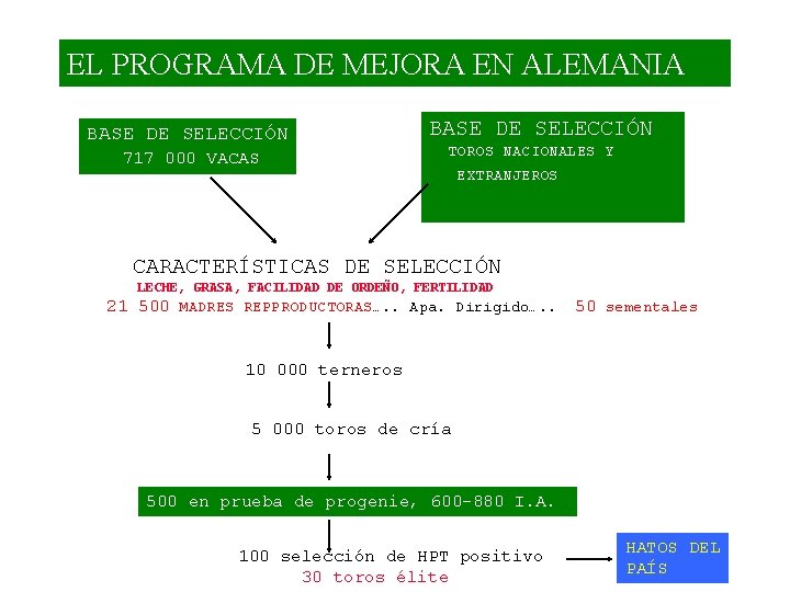 EL PROGRAMA DE MEJORA EN ALEMANIA BASE DE SELECCIÓN 717 000 VACAS BASE DE
