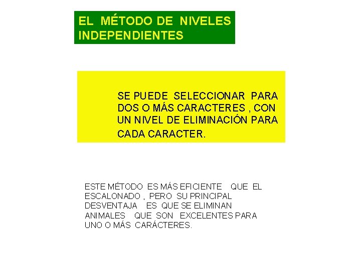 EL MÉTODO DE NIVELES INDEPENDIENTES SE PUEDE SELECCIONAR PARA DOS O MÁS CARACTERES ,