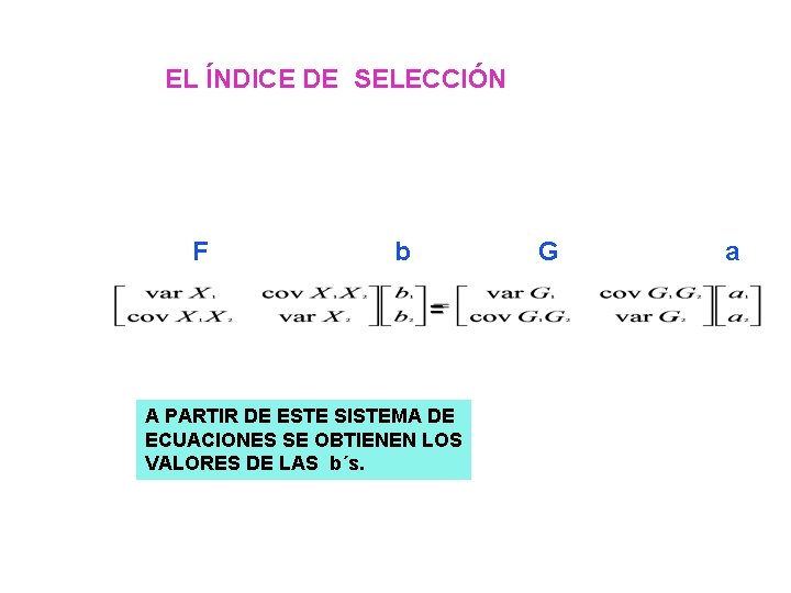 EL ÍNDICE DE SELECCIÓN F b G = A PARTIR DE ESTE SISTEMA DE