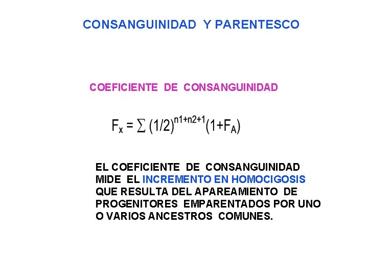 CONSANGUINIDAD Y PARENTESCO COEFICIENTE DE CONSANGUINIDAD EL COEFICIENTE DE CONSANGUINIDAD MIDE EL INCREMENTO EN
