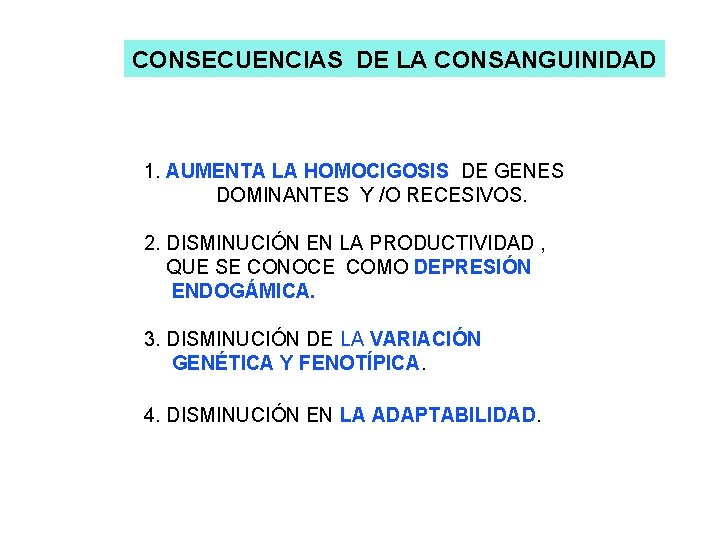 CONSECUENCIAS DE LA CONSANGUINIDAD 1. AUMENTA LA HOMOCIGOSIS DE GENES DOMINANTES Y /O RECESIVOS.
