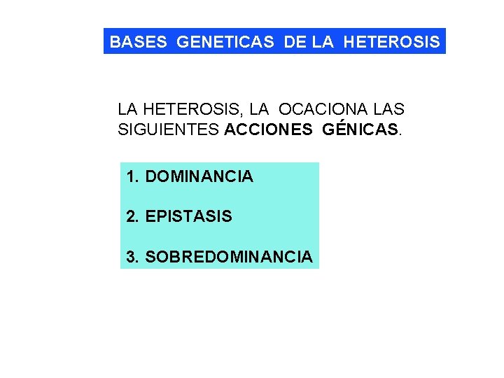 BASES GENETICAS DE LA HETEROSIS, LA OCACIONA LAS SIGUIENTES ACCIONES GÉNICAS. 1. DOMINANCIA 2.