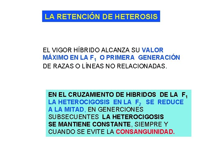 LA RETENCIÓN DE HETEROSIS EL VIGOR HÍBRIDO ALCANZA SU VALOR MÁXIMO EN LA F